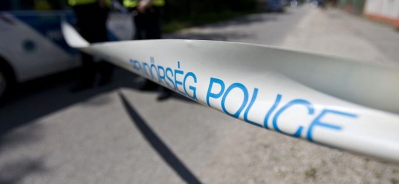 Halálos karambol részese volt egy tanulóvezető, az oktató kaphat súlyos büntetést
