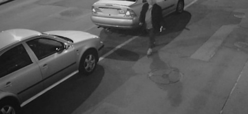 Rendszámokat lopkodó asszonyt keres a rendőrség – fotó