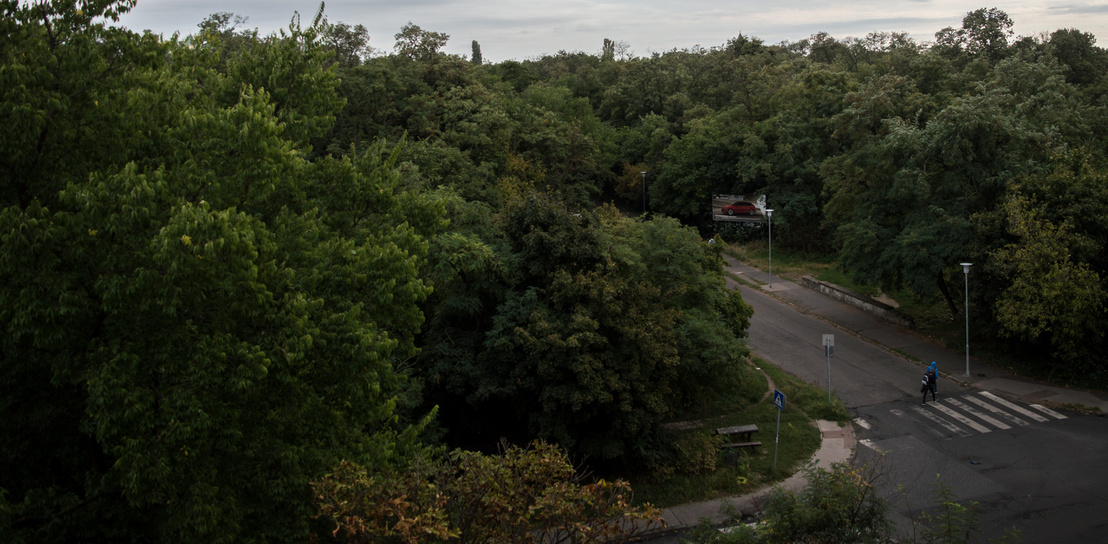 Elvetették a Határ úti kiserdő autóút miatti kivágását