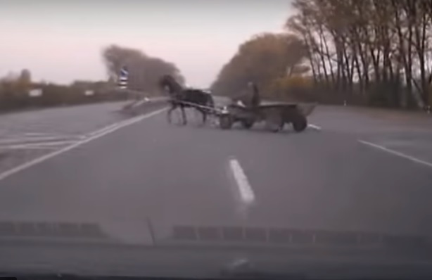 VIDEÓ: Mit keres a lovaskocsi az autópályán???