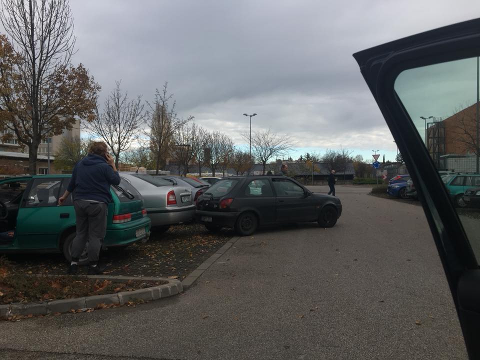 Tegnapi eset, hátha eljut a tulajhoz!