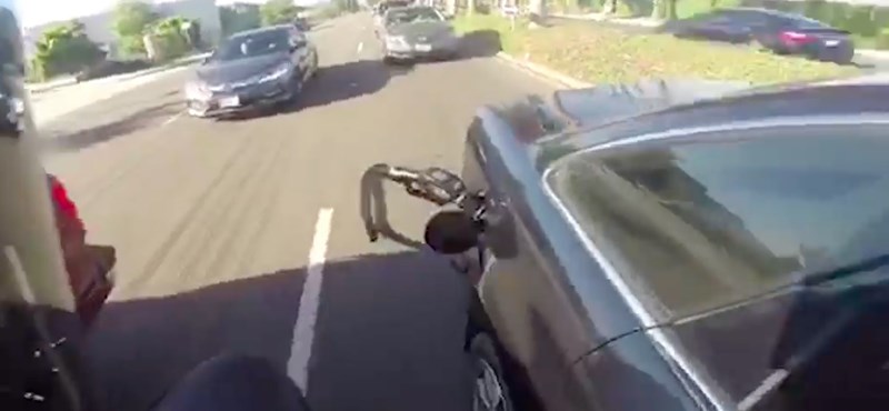 Ekkora bakit mégis hogy nem vett észre? – videó