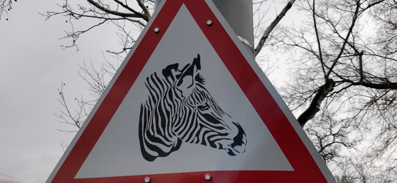 Láttad már ezt a rendkívül találó közlekedési táblát Budapesten?