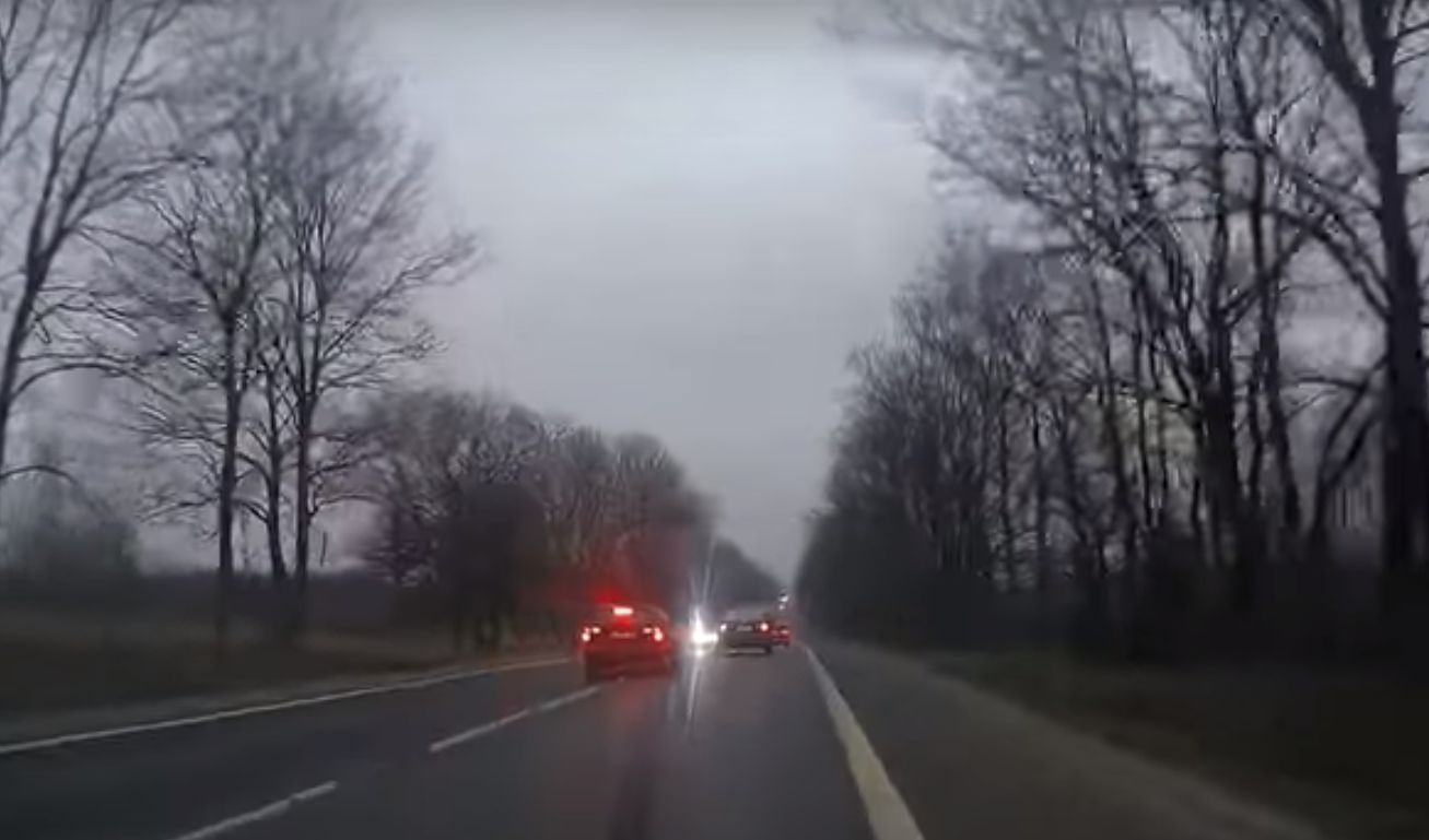 VIDEÓ: Az ilyen elmebeteg állatra mondják tök jogosan: Várják a vesédet!
