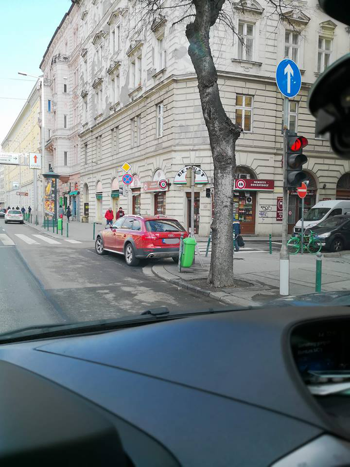ELKÉPESZTŐ: Ő így ügyel rá, hogy nehogy behajtson valaki az egy irányú utcába!