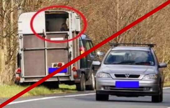 NEM vadásznak lószállítóból körmendi rendőrök a gyorshajtókra