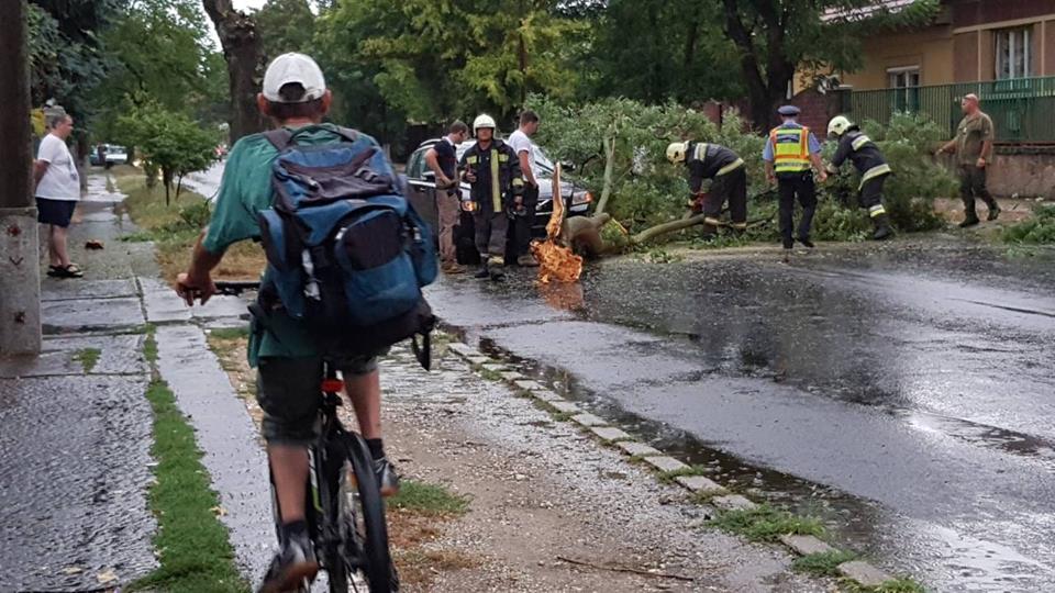 A 18. kerületi Ráday Gedeon utcában is kidőlt egy fa