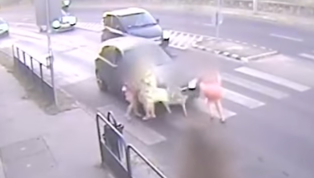 Videó – Brutális gázolás a 11-es főúton, Szentendrén