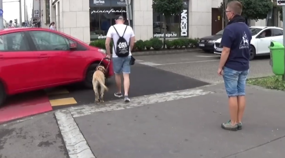 VIDEÓ: Sajnálatos eset történt, mikor majdnem elgázolt egy vakvezető kutyát és gazdáját egy autós
