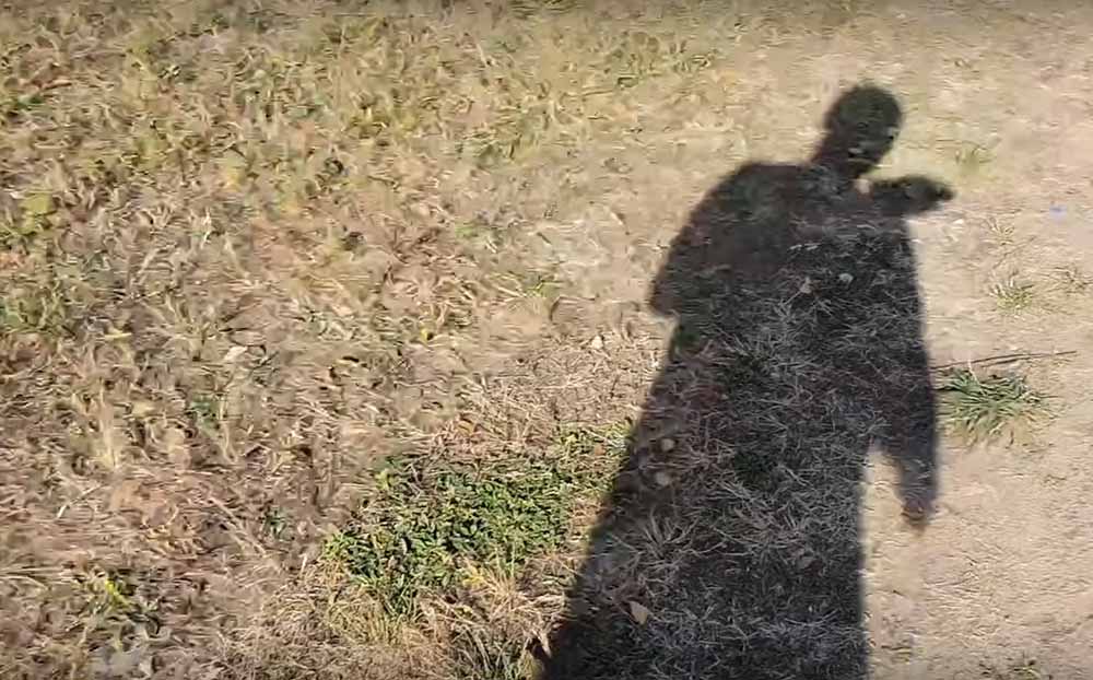 VIDEÓ: Hagyjuk a közhelyeket! A Suzukira is kell költeni. SX4 teszt 2006.