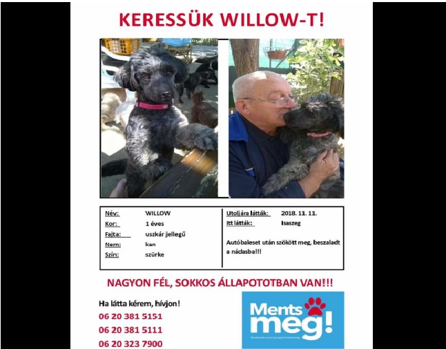 A közösség segítségét kéri az Uszkàrokèrt Állat és Természetvédelmi Egyesület