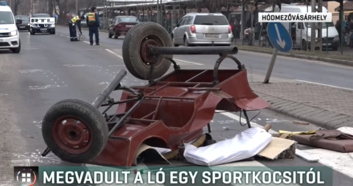 Videó – Megvadult és felborította hajtóját egy ló, mert sportkocsi előzte meg Hódmezővásárhelyen