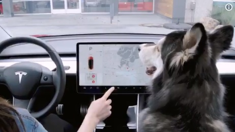 Videó – Kutyák életét mentheti meg a Tesla legújabb fejlesztése