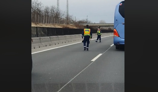 Videó – Napi jótett, Elkóborolt kutyát fogtak be a rendőrök az M3-ason
