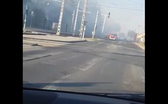 Videó – Kigyulladt az erdő, lezárták a Határ út egy részét