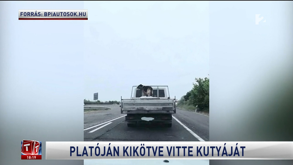 Nem valószínű, hogy komolyabb szankcióra számíthat az elkövető