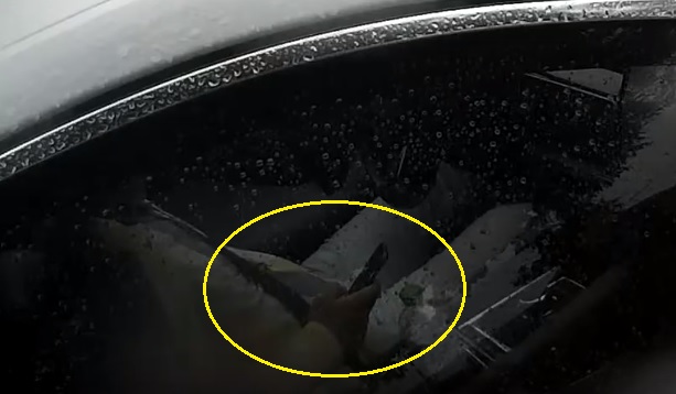 Videó – Mobilját nyomkodó férfi tartotta fel a forgalmat – egy gyalogos szólt neki, hogy menni kéne
