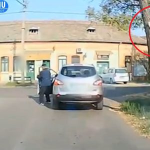 VIDEÓ: Ő a hónap tahója! A kereszteződés közepén egyszerűen elballagott