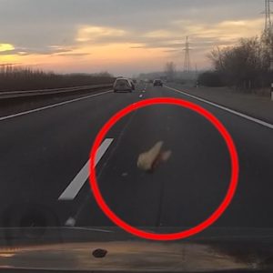 VIDEÓ: Amikor vétlenként te kapod a pofádba a sajtbureszt, az nem a te napod