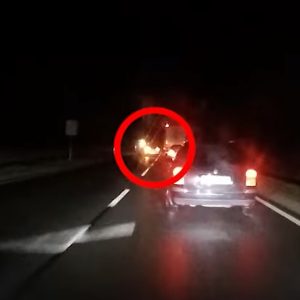 Itt a friss, 4. rendőrségi civil autós, „tahó vadászó” videó