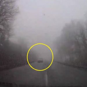 VIDEÓ: Mint szürke szamár a ködben, úgy tűnt fel a kivilágítatlan autós