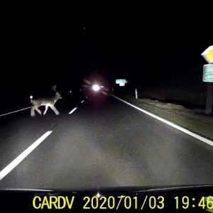 VIDEÓ: Centiken múlt a vadgázolás. Takart az A-oszlop, az utasok előbb vették észre a bajt