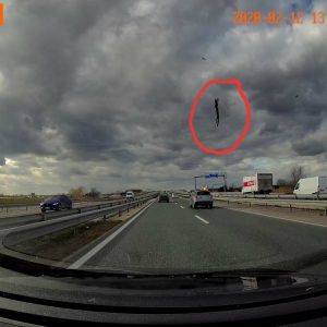 VIDEÓ: Valaki írja meg, hogy mi a jó franc repült neki olvasónk autójának a 4-es úton?