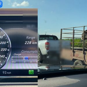 VIDEÓ: 150-nel szállította nyitott utánfutón a csacsit az M5-ösön