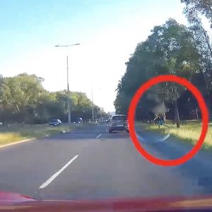 VIDEÓ: Nem tudjuk mi lelte ezt az útszéli idiótát, de rendesen ijesztgette az autósokat