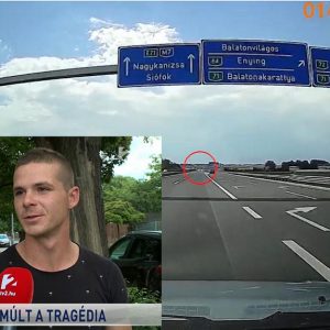 Riport: Egy másik szemtanú szerint több száz métert tolatott az M7-esen a Peugeot sofőrje
