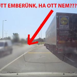 VIDEÓ: A kisegér ott is lyukat talál magának, ahol nem is gondolnád