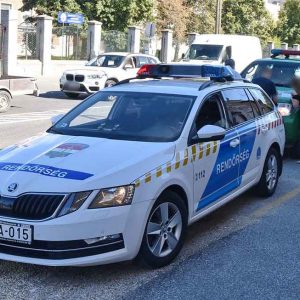 Elütötte, kiszállt, felsegítette, majd elhajtott. Később önként jelentkezett a rendőrségen