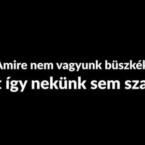 A rendőrség bevállalta. Saját csatornáikon is publikáltak általunk közzétett felvételeket rendőrökről, akik szabályokat szegtek