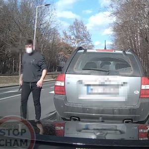 VIDEÓ: Kiszállt emberkedni, de nyitáskor elrepült a vipera