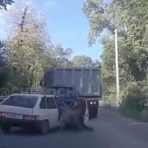 VIDEÓ: Mindent letarolt az emelkedőn visszaguruló teherautó