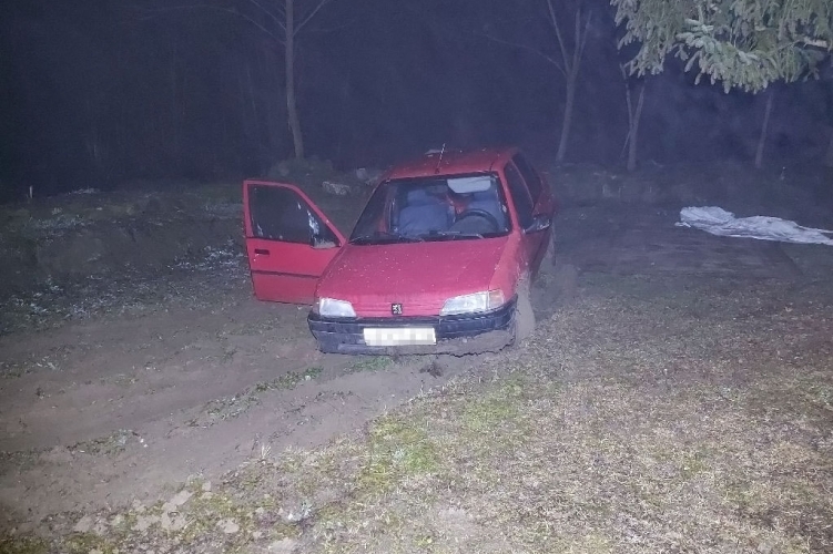 El akarta lopni ismerőse autóját, de nem jutott messzire, mert belehajtott a kerti tóba és elakadt