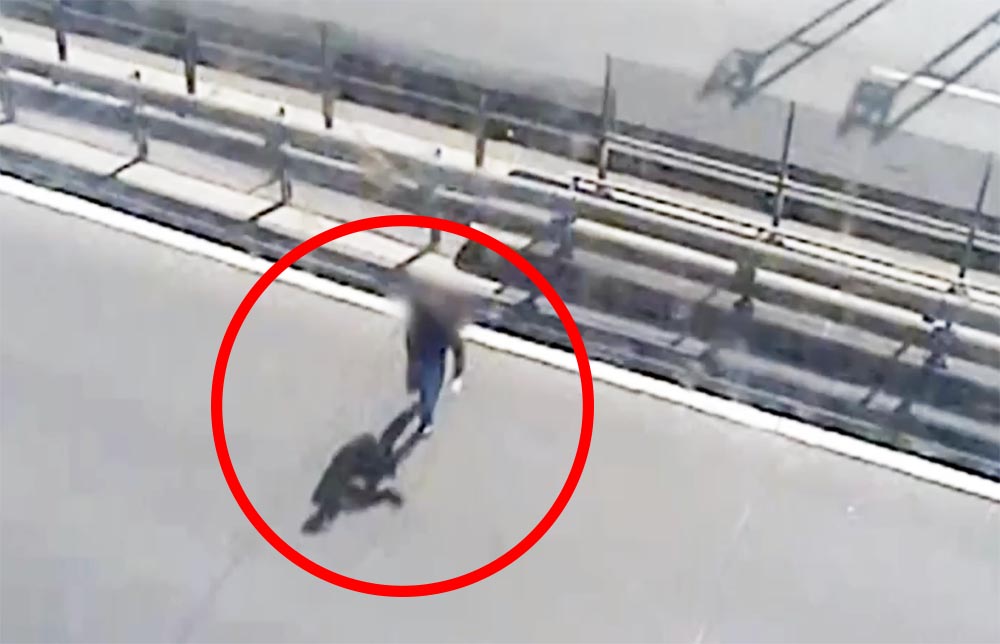 VIDEÓ: Nehezen, de kitalálta, hogy mit nem kéne csinálnia