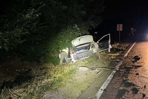 Meghalt a 18 éves a sofőr, aki autójával egy fának csapódott