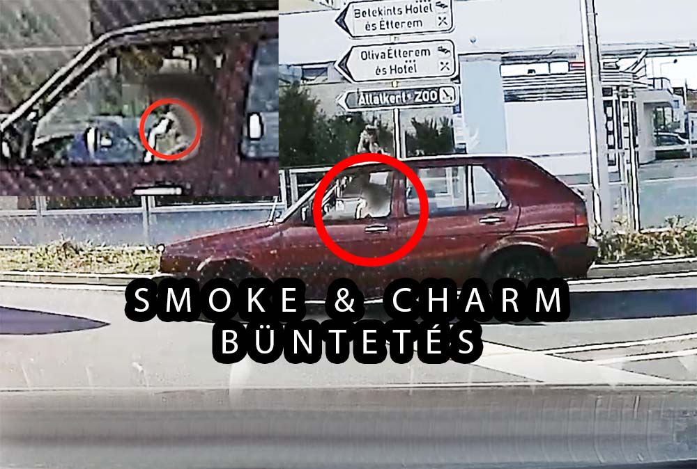 Olyat büntetett a kettes Golf sofőrje, hogy a Greenpeace sírva fakad