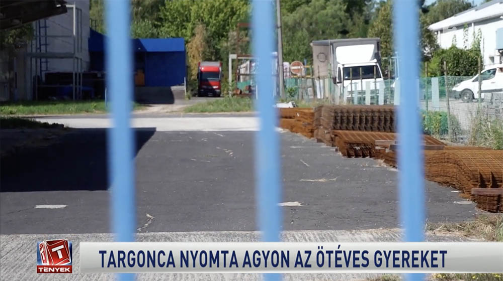 Ötéves gyermek vesztette életét, mert egy targonca rádőlt