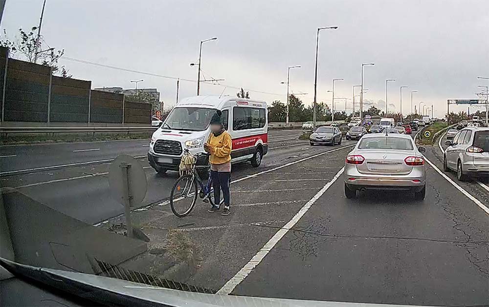 VIDEÓ: Gondolta megpihen kicsit a béke és nyugalom szigetén