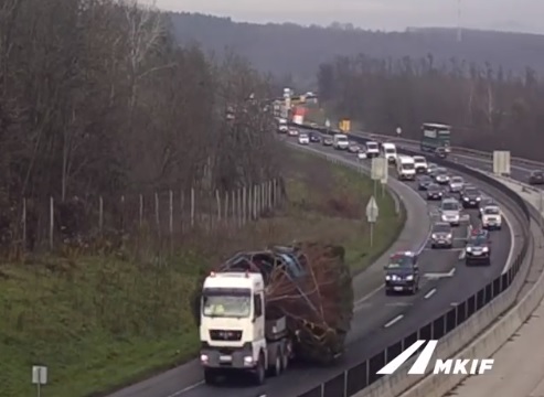 VIDEÓ: Túlméretes szállítmány – Így érkezett az ország fája