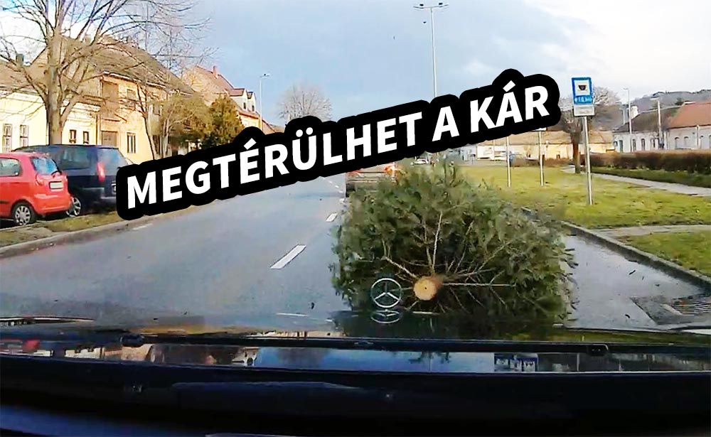 Kártérítené olvasónkat Esztergom város, az autójának csapódott fenyőfa miatt – VIDEÓ