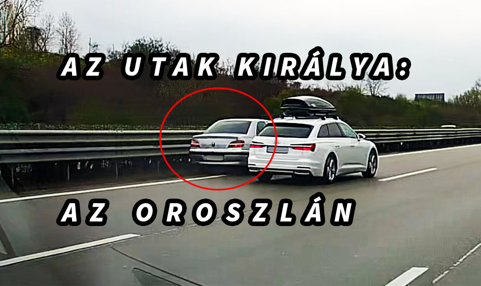 VIDEÓ: Elmaradt a jobbra tartás, majd jött az oroszlán