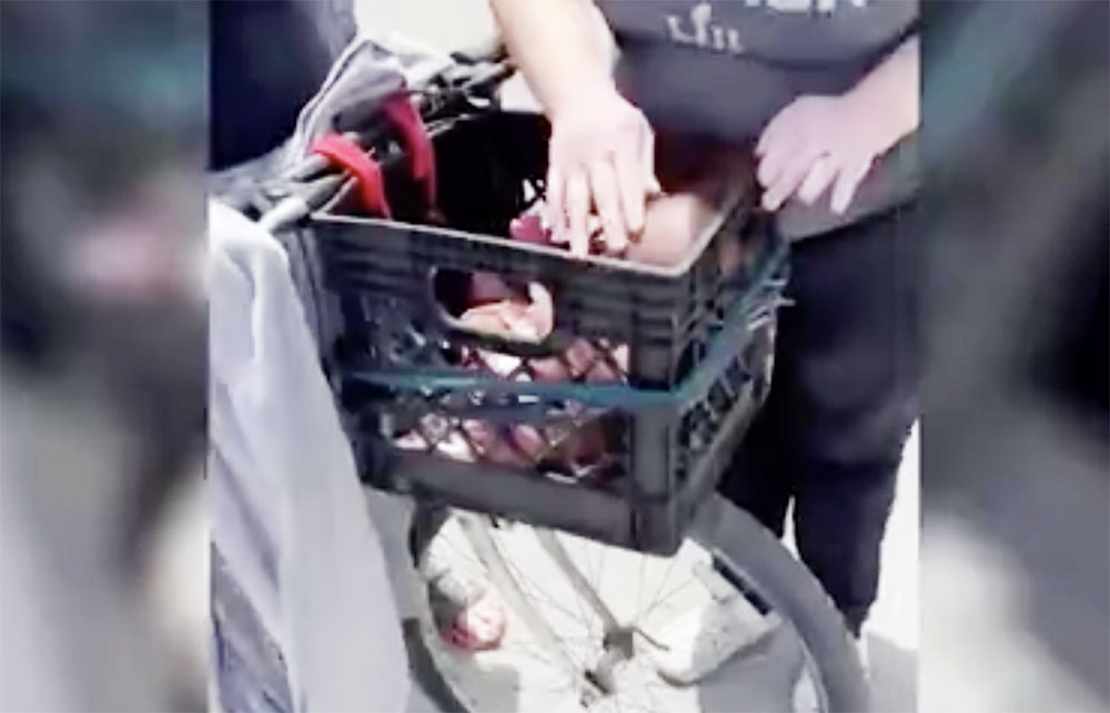 VIDEÓ: Biciklikosárban szállította egy nő az ikerbabáit Amerikában. Letartóztatták