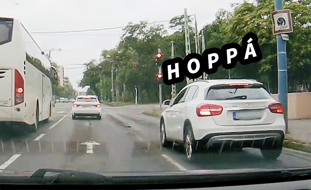 VIDEÓ: Közúton tolt egy jávorszarvas tesztet a Mercedes sofőrje