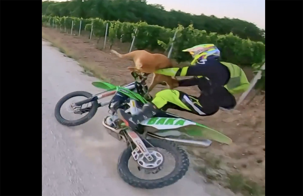Vad gázolt motorost a videón, amit már közel másfél millióan láttak