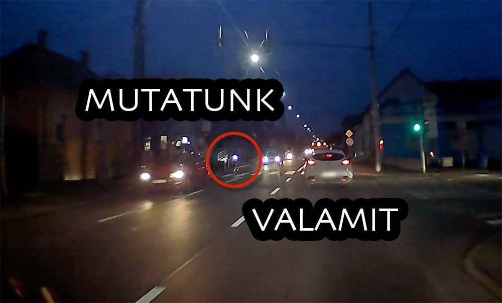 Sanyi okos. Lesd meg ezt és legyél olyan, mint Sanyi! – VIDEÓ