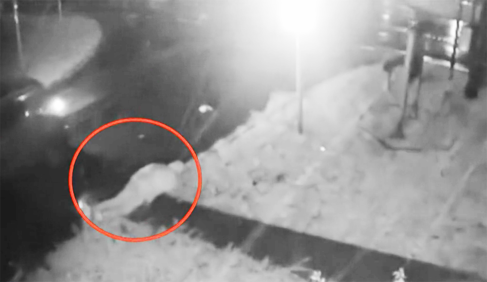 Térfigyelő kamera rögzítette, ahogy egy autó elgázol egy biciklist Hegyeshalomban.