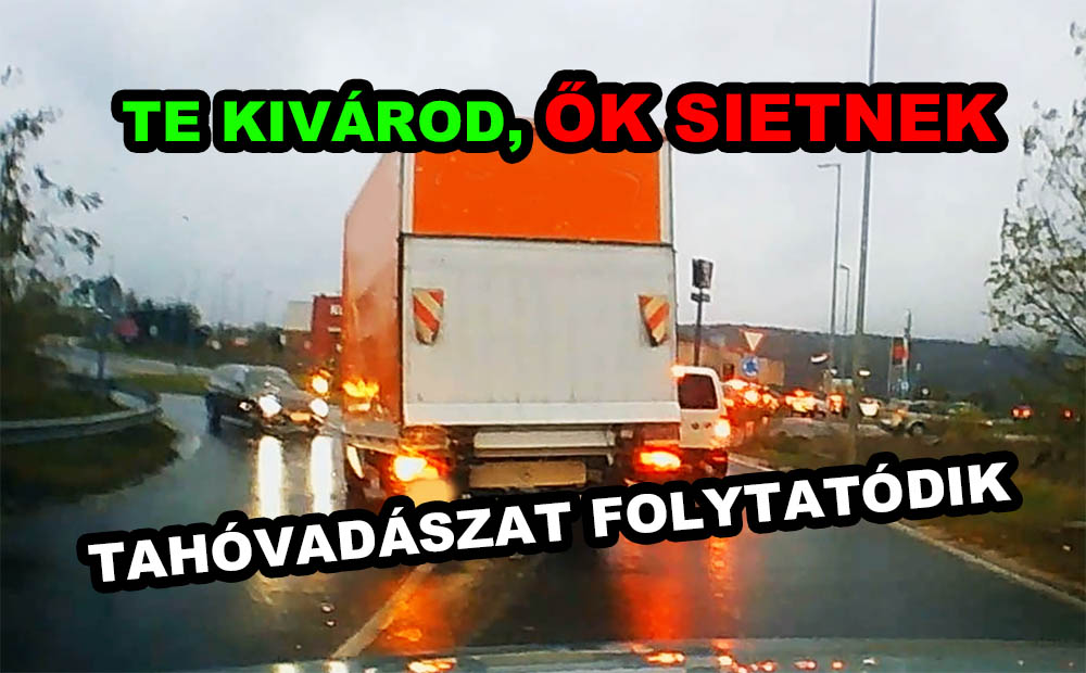 Tahóság a legmagasabb szinteken! Mutatjuk november eddigi legrutinosabb tahóit